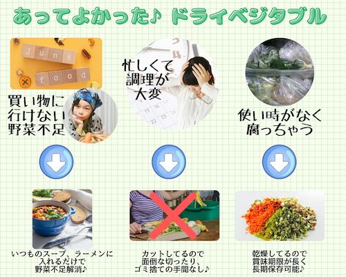 乾燥小ねぎ フリーズドライ製法・5mm輪切り