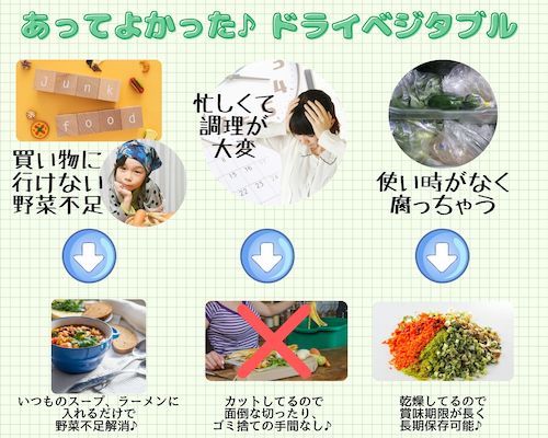 乾燥ねぎ エアードライ製法・4mmみじん切り