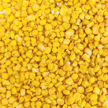 乾燥とうもろこし フリーズドライ製法・粒カット品