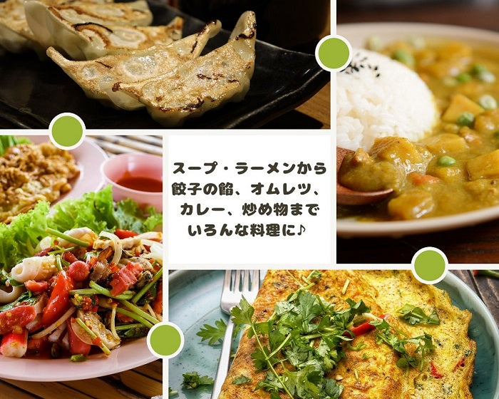 乾燥白ねぎ フリーズドライ製法・8mm斜め切り