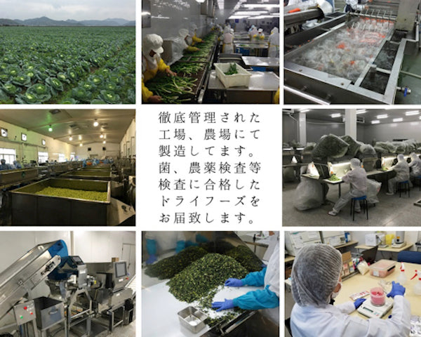 乾燥たまねぎ エアードライ製法・エジプト産 5mm粗みじん切り 400g